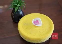 Yoghurt cheesecake recipe 18