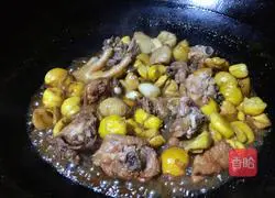 Chestnut stew Chicken Recipe Illustration 13