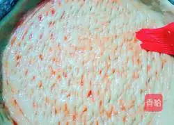 New Orleans barbecue pizza recipe 2