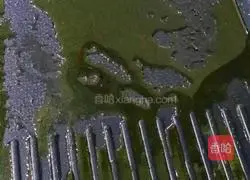 Korean barbecue recipe illustration 9