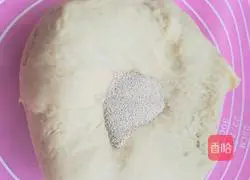 Illustration of how to make hamburger buns 5