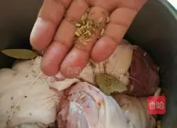 Pressure cooker sauce elbow recipe illustration 3