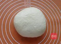 Orleans Chicken Pizza Recipe 3