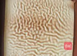 Cranberry Tiger Stripe Cake Roll Recipe Illustration 19