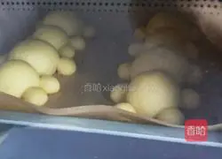 Illustration of how to make bear bread 9