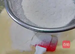 Chiba pattern sponge cake recipe 7