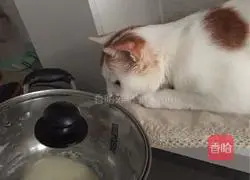 Messy Pie (Pizza) Illustration of how to do it 3