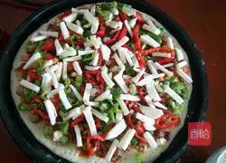 Illustration of making pizza with electric grill 15