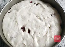 Cranberry Hair Cake Recipe Illustration 5