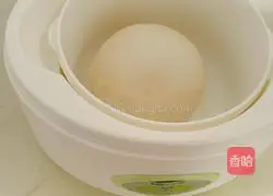 Orleans Chicken Pizza Recipe Illustration 2