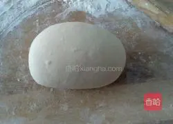 Illustration of making siu mai with kimchi and pork stuffing 1