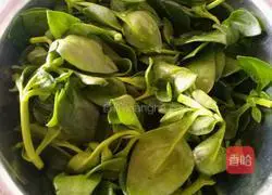 Cold salad Illustration of how to make Andrographis paniculata 1