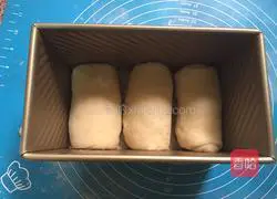 Toast Bread Recipe Illustration 12