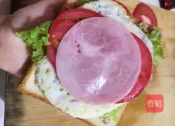 Tuna sandwich recipe 5