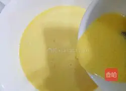 Mango Melaleuca Recipe Illustration 6