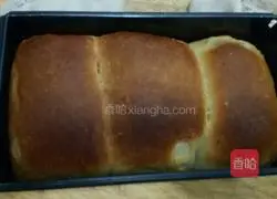 Toast milk bread recipe 10