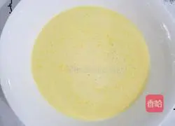 Mango Melaleuca Recipe Illustration 2