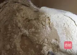 Oyster mushroom pizza Illustration of how to do it 1