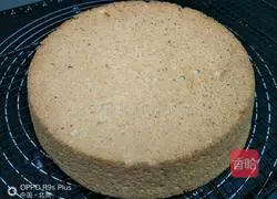 Buckwheat protein cake Illustration of how to do it 12
