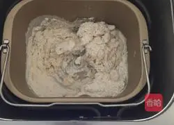 Chicken King Oyster Mushroom Pizza Recipe Illustration 1