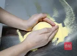 Professional durian pizza Practice illustration 3