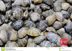 Illustration of Qingdao's famous spicy fried clams 1