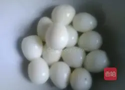 Illustration of how to make a family portrait 2