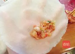 Illustration of how to make cabbage and pork spring rolls 5