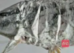 Sugar Illustration of how to make vinegar fish 6