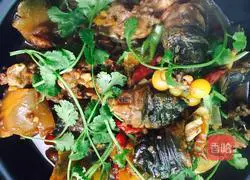 Illustration of braised soft-shell turtle 8