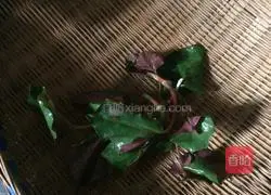 Illustration of how to make cold folded ear root (also known as Houttuynia cordata) 1