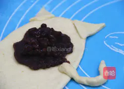 Illustration of making whole wheat honey bread for cats 8