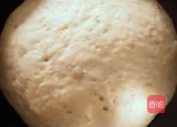 Assorted pizza recipes 4