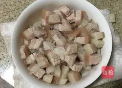 Illustration of home-style braised pork rice 3