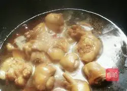 Illustration of Braised Chicken 11