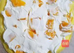 Mango Melaleuca Recipe Illustration 12