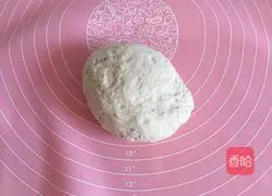 Pastoral pizza recipe 8