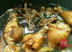 Illustration of braised chicken legs with tea tree mushrooms 10