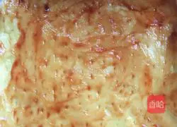 Illustration of how to make pulled pizza 2