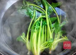 Illustration of how to make pan-fried chicken patties 9