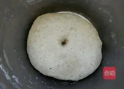 Illustration of Homemade Xinjiang Delicious Naan and Pork 2