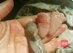 Illustration of how to make steamed turtle 8