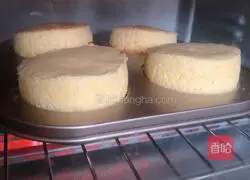 Yoghurt Souffle Recipe Illustration 7