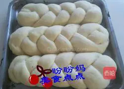 Illustration of Braided Bread 7