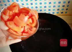 Exclusive homemade oil-free tomato beef stew illustration 5