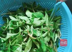 Illustration of how to make cold fragrant dried malan head 3