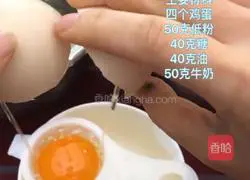 Orange Speckled Cake Roll Illustration of how to do it 1