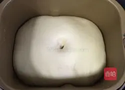 Illustration of how to make hamburger embryos (medium seeding method) 8