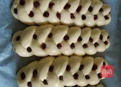 Illustration of Braided Bread 15