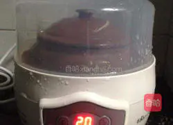 Illustration of how to make astragalus steam pot broth 4